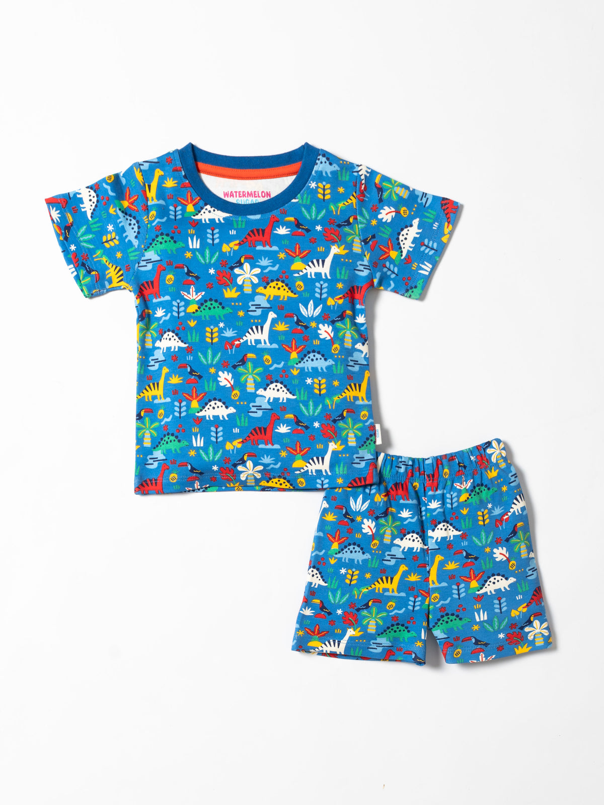 Dino Explorer Print Co-ord Set(662)