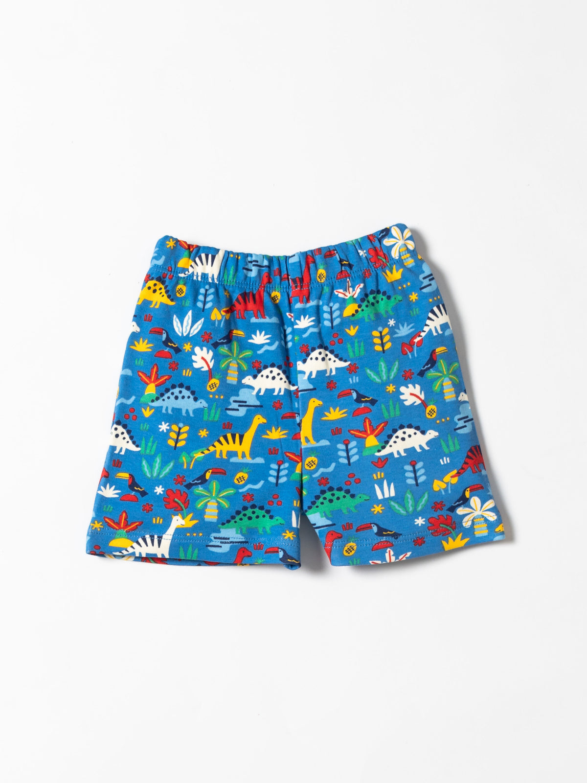 Dino Explorer Print Co-ord Set(662)