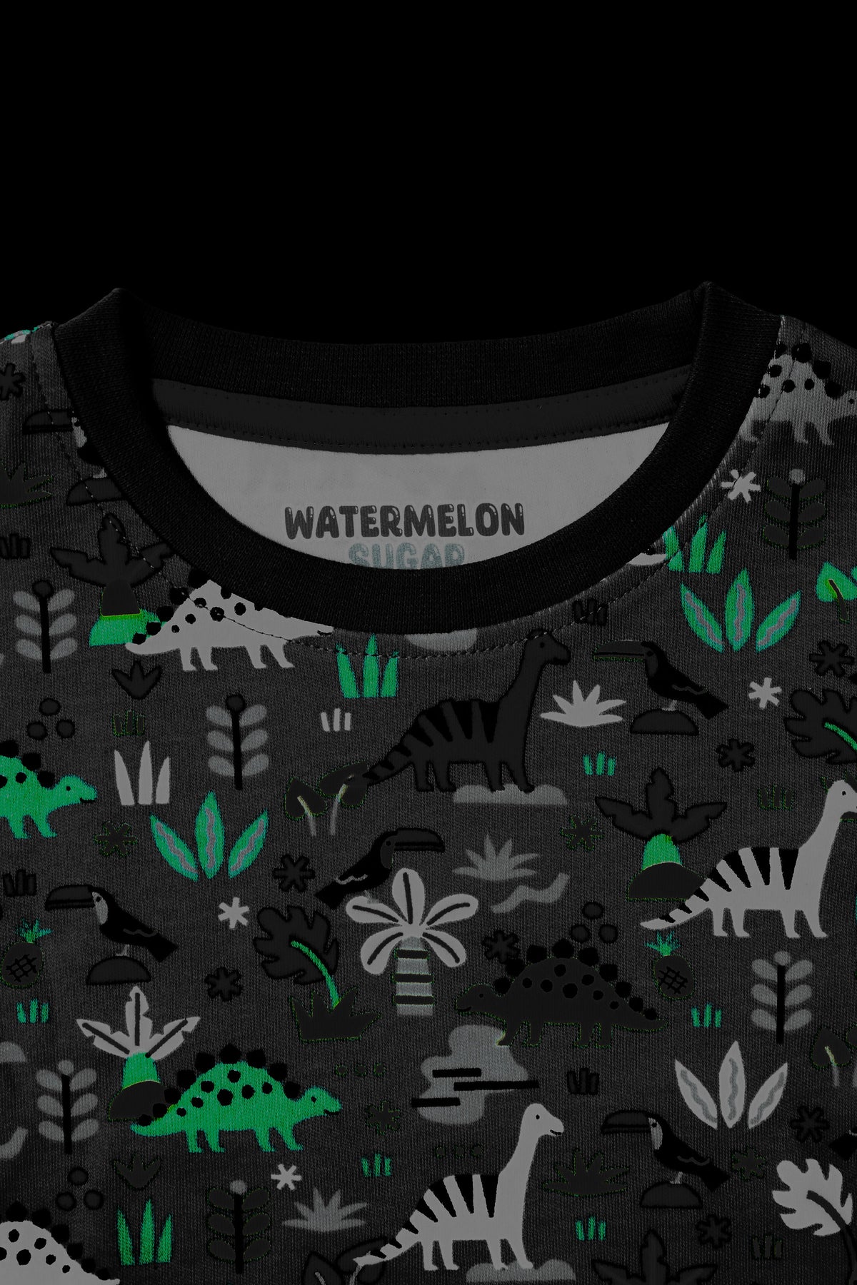 Dino Explorer Print Co-ord Set(662)