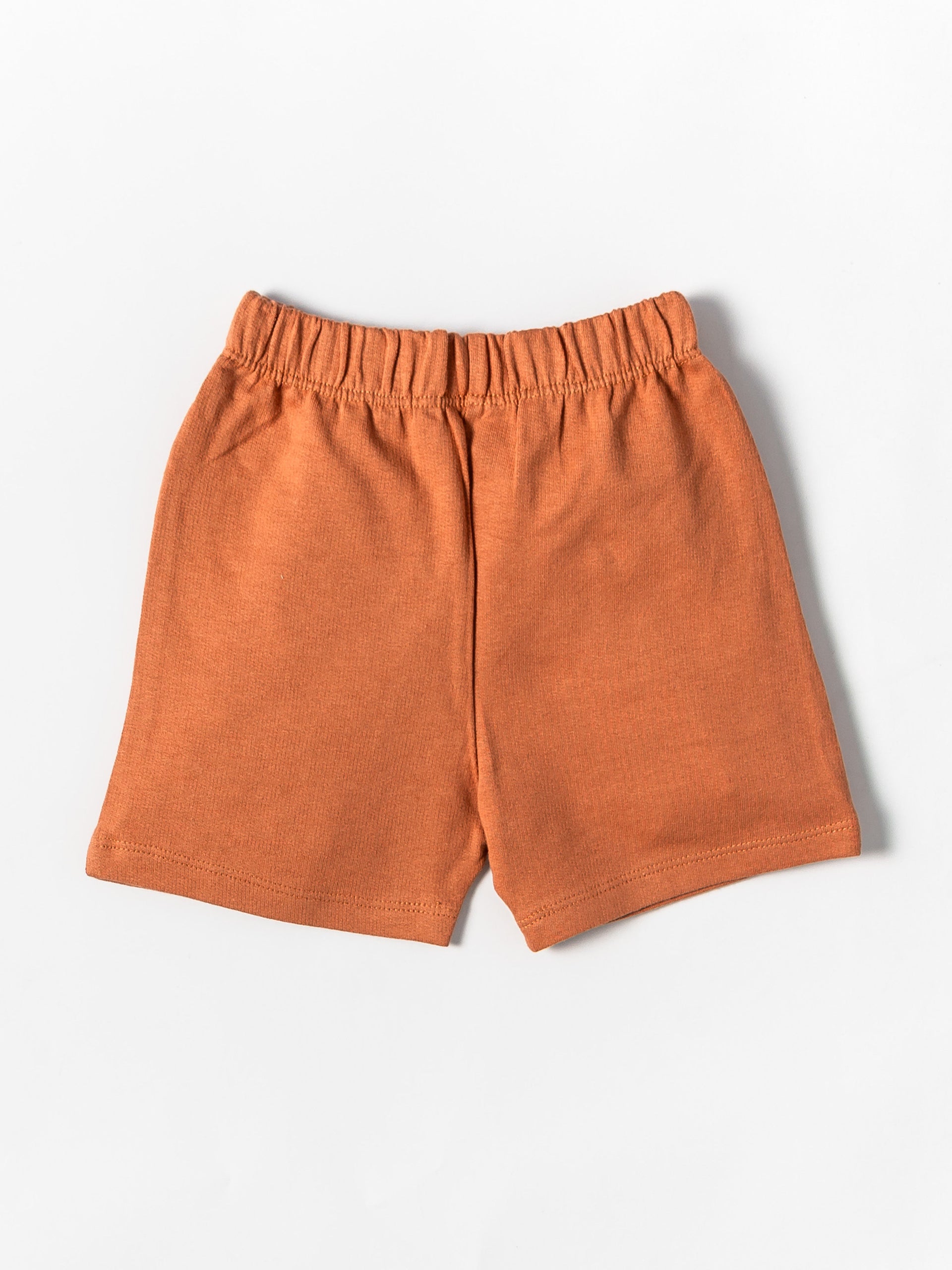 Terra Breeze Kids Shirt &Shorts(498)