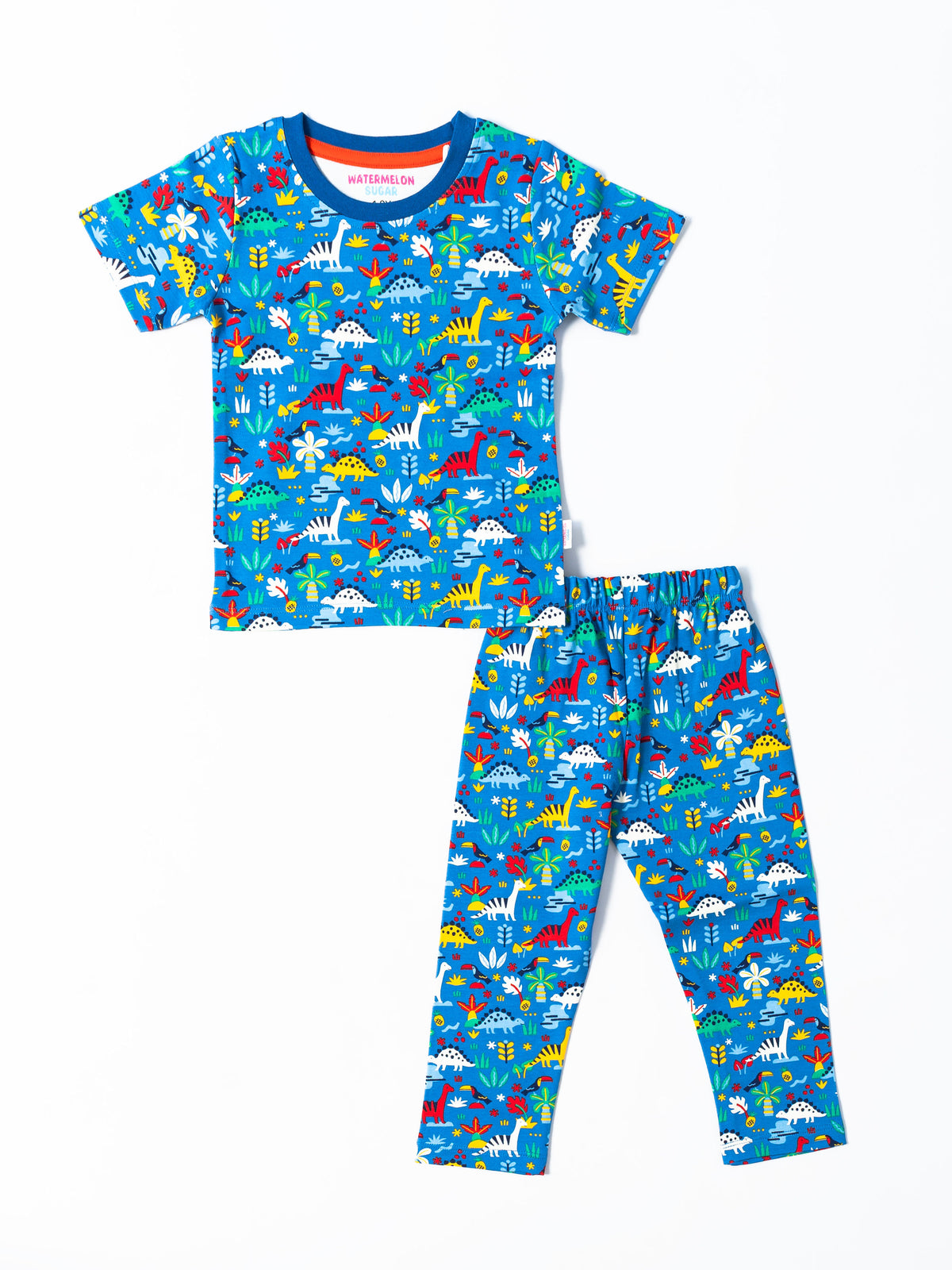 Blue Dino garden Tshirt & Pant set(599)