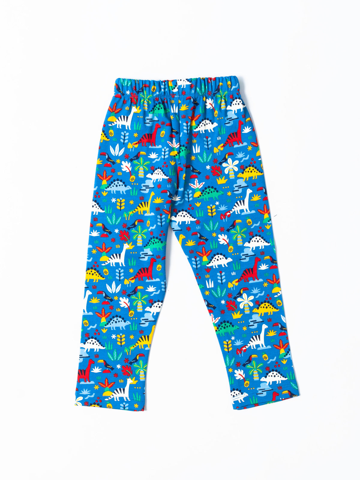 Blue Dino garden Tshirt & Pant set(599)