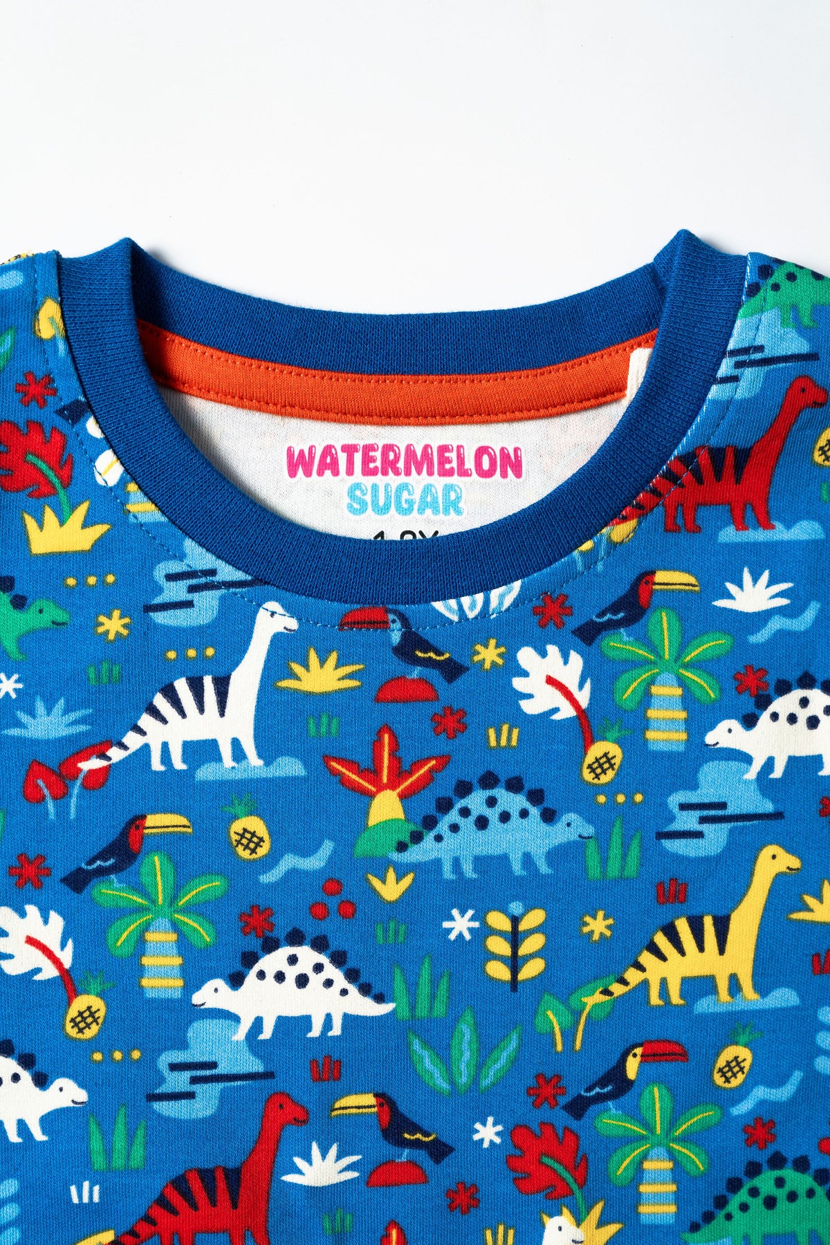 Blue Dino garden Tshirt & Pant set(599)