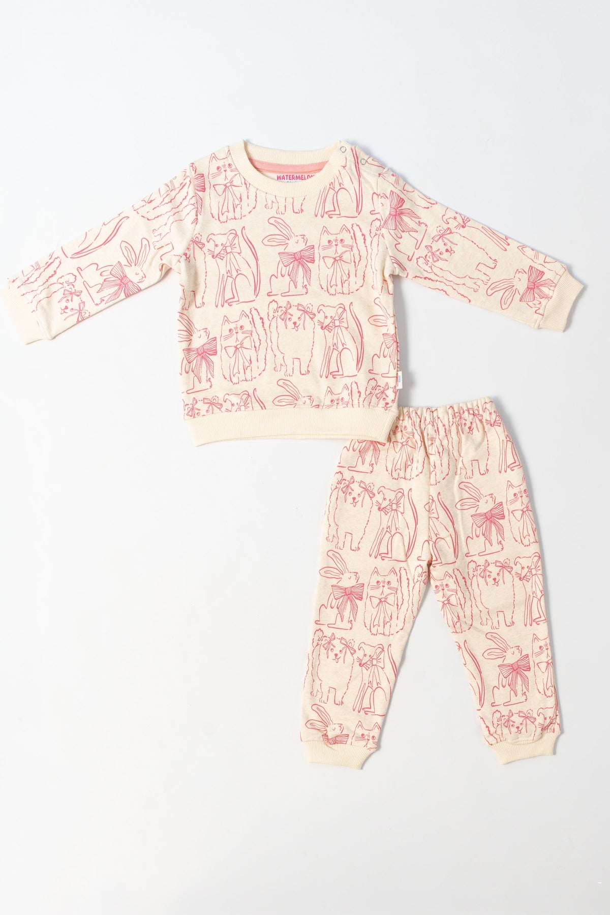 Pretty Paws Pink Sweatshirt & Jogger Set(600)