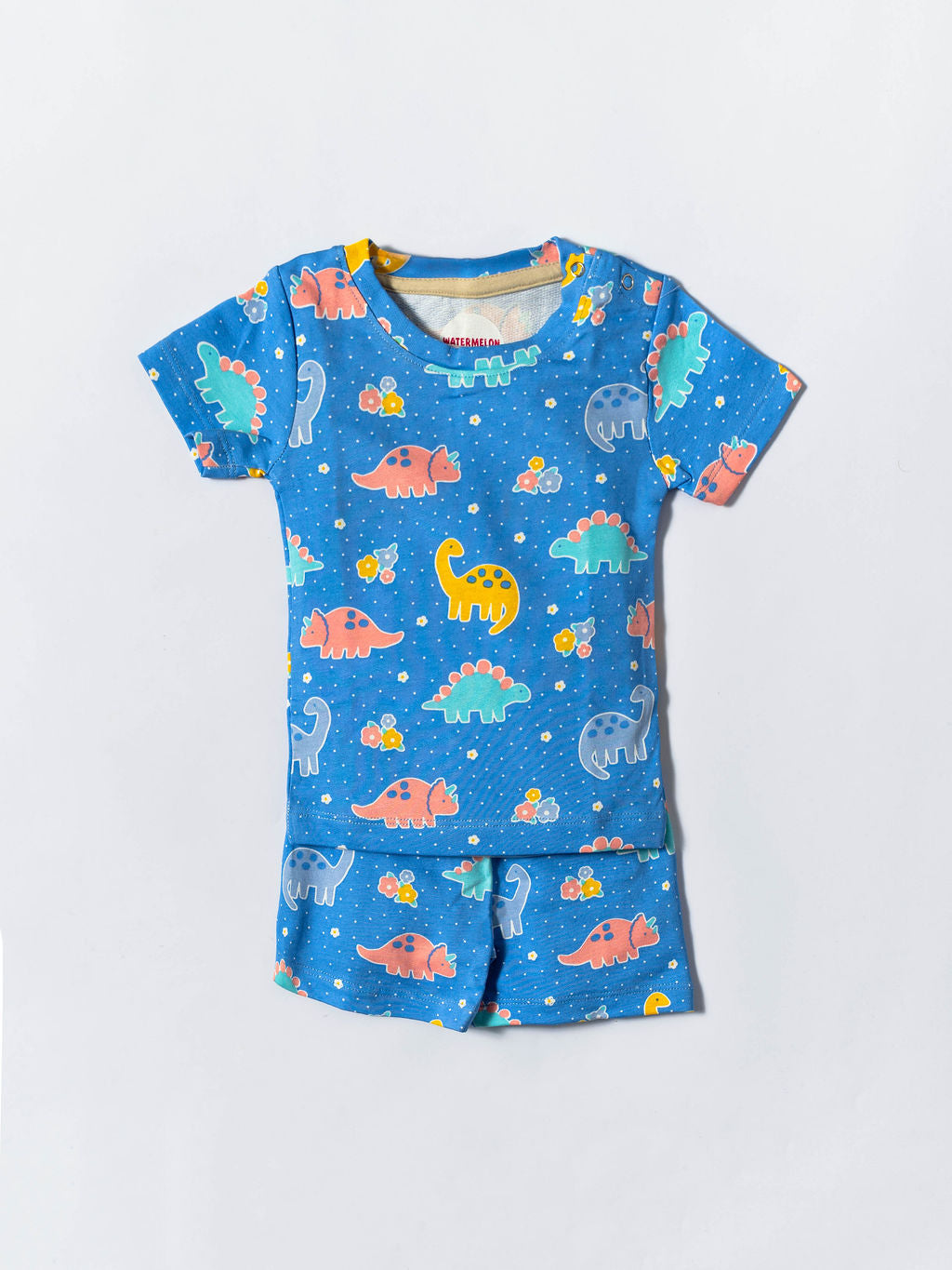 Blue Dinosaur Co-ord Set (179)