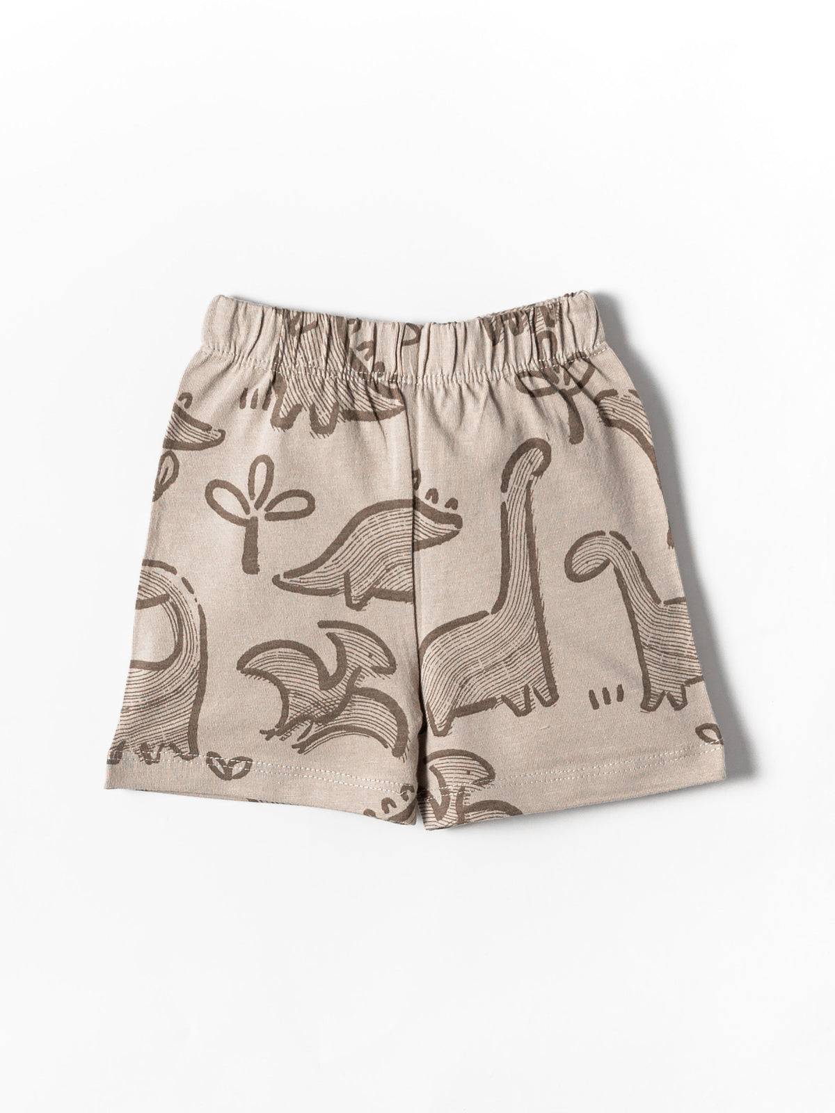 Dino Adventure co-ord set (462)