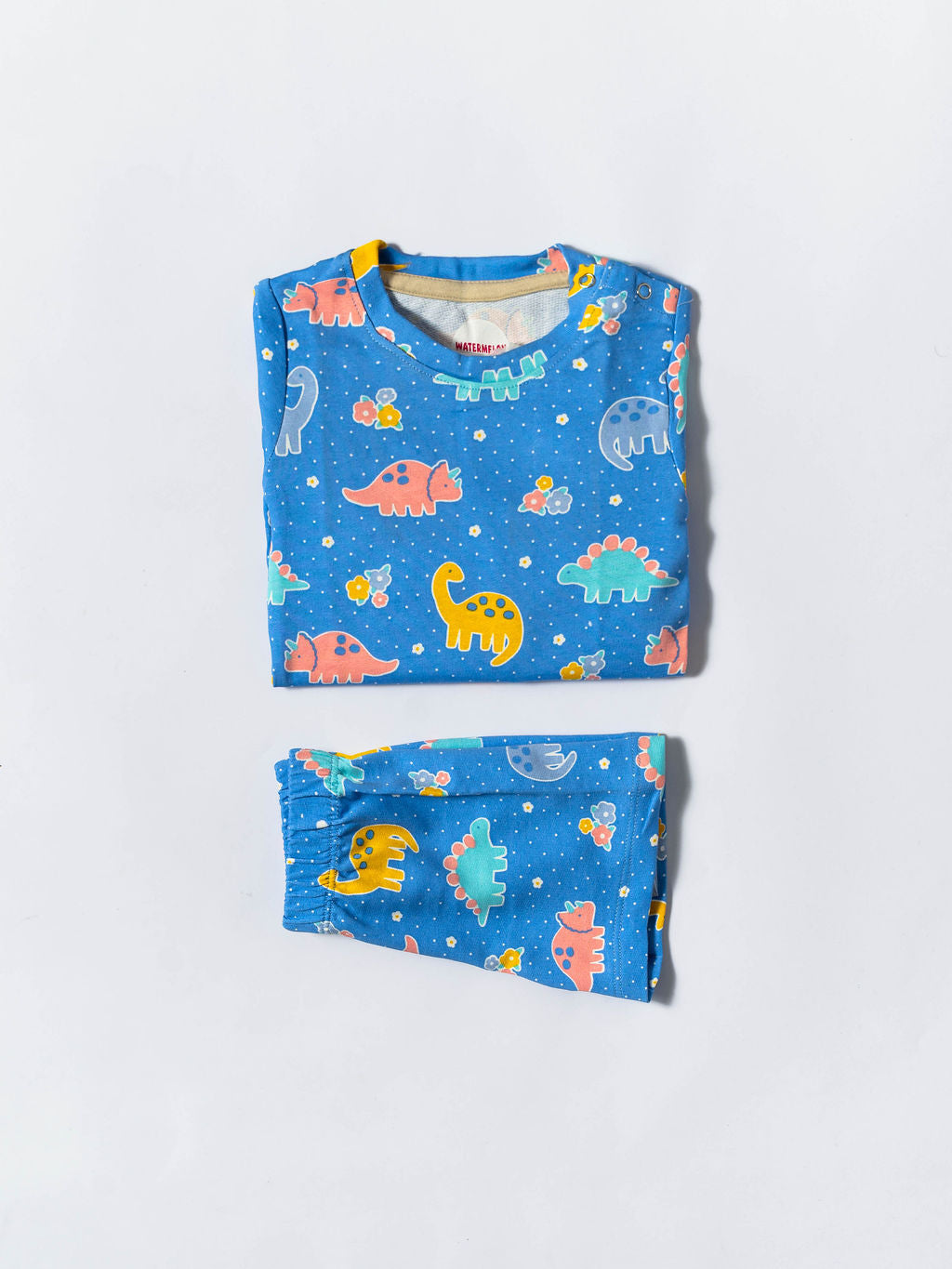 Blue Dinosaur Co-ord Set (179)