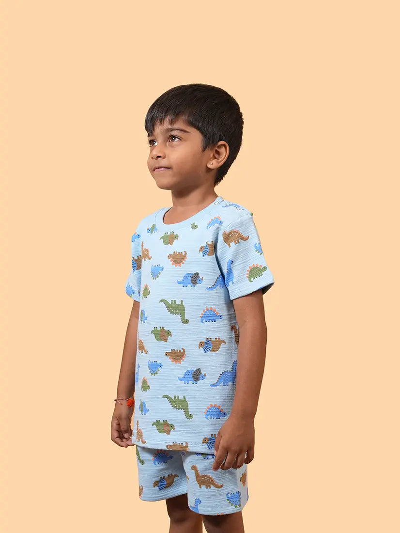 Blue Dino Adventure Co-ord Set (263)