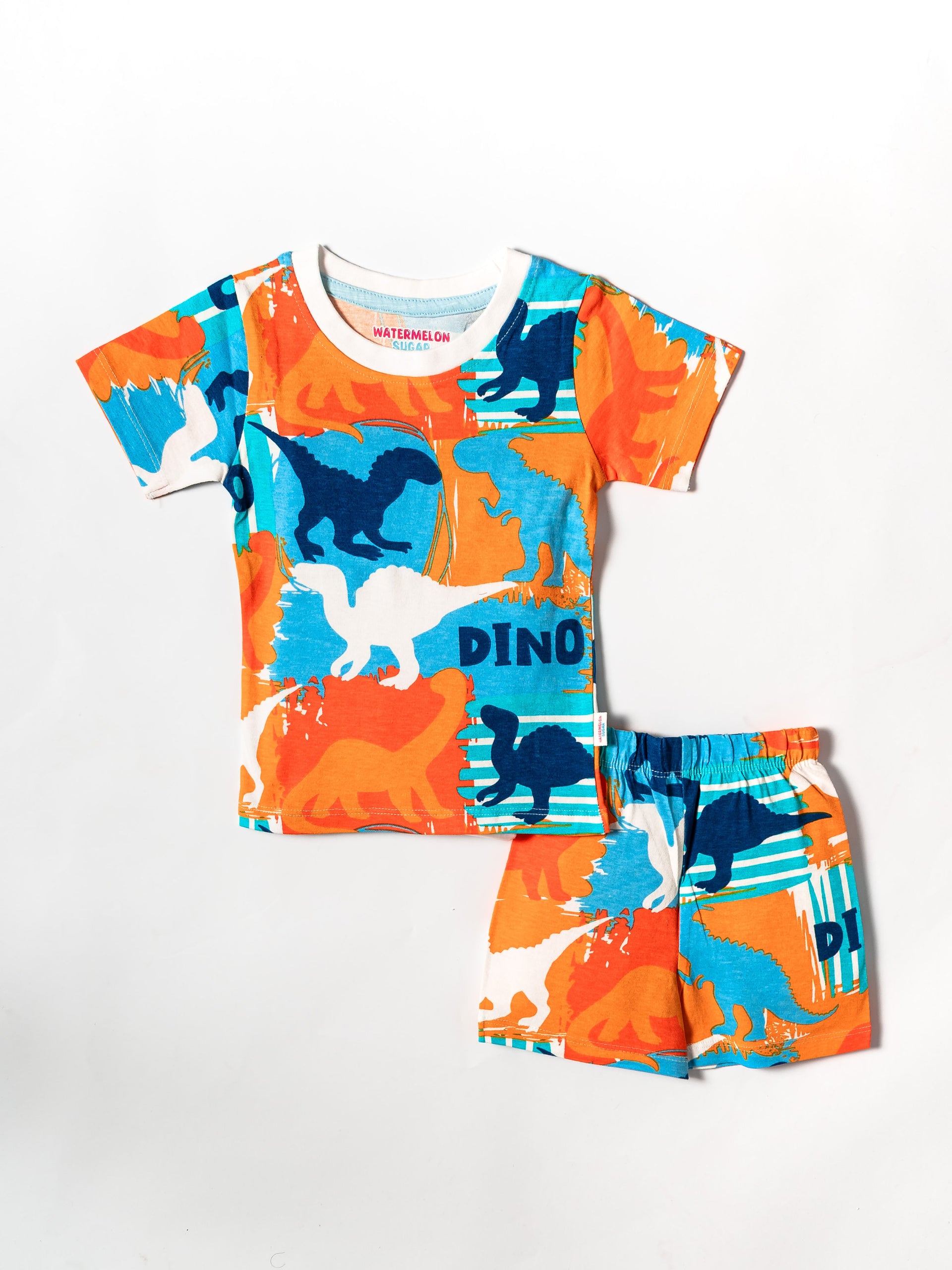 Roar & Explore Dino Co-ord Set (486)