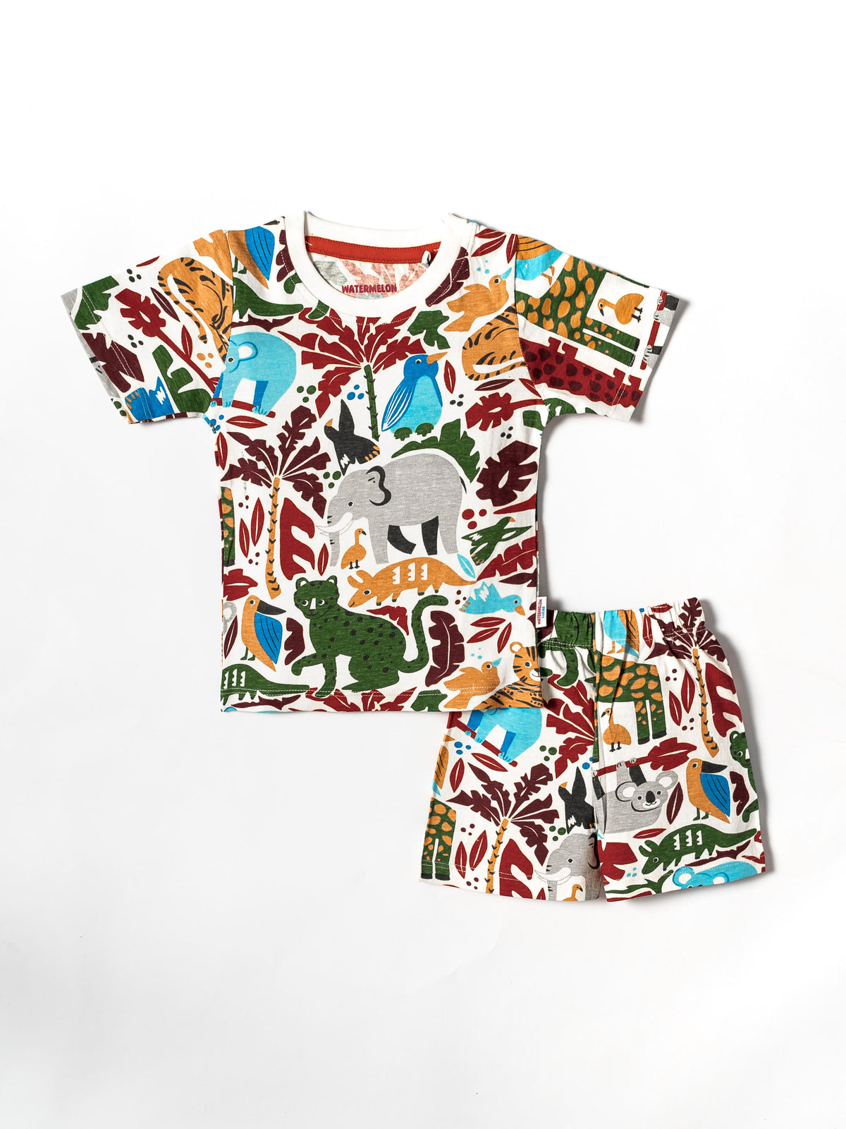 Colourful Jungle Animals Co-ord Set(542)