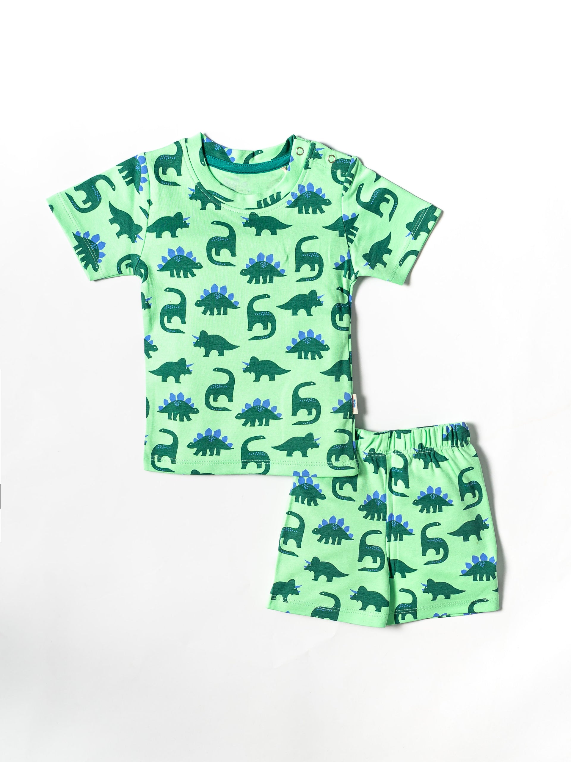 Dino Adventure Co-ord Set (529)