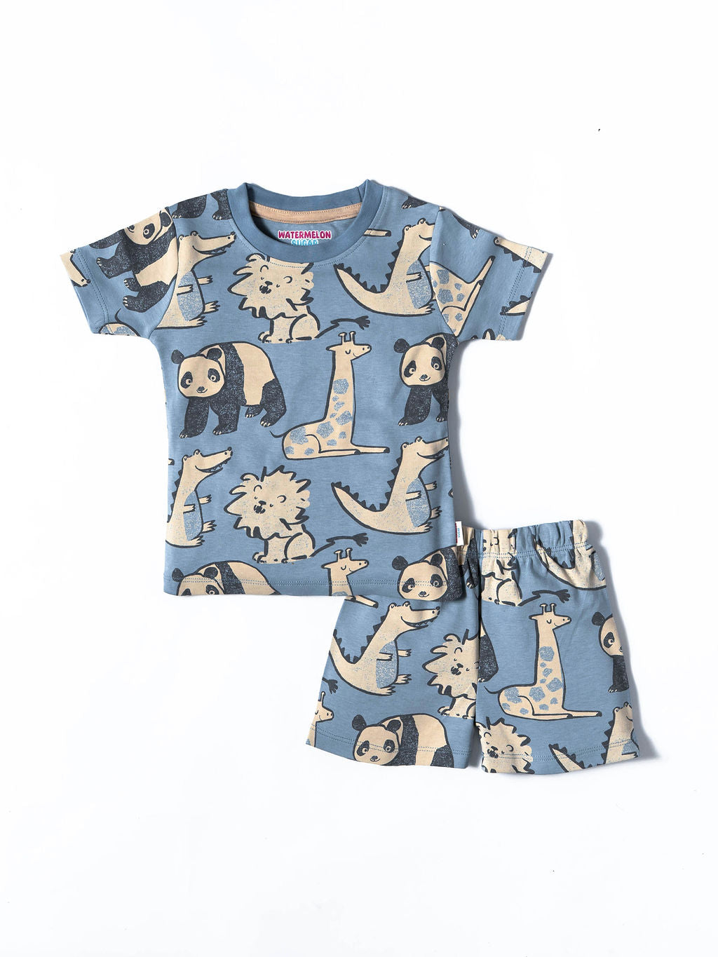 Blue Animal Print Co-ord Set (444)