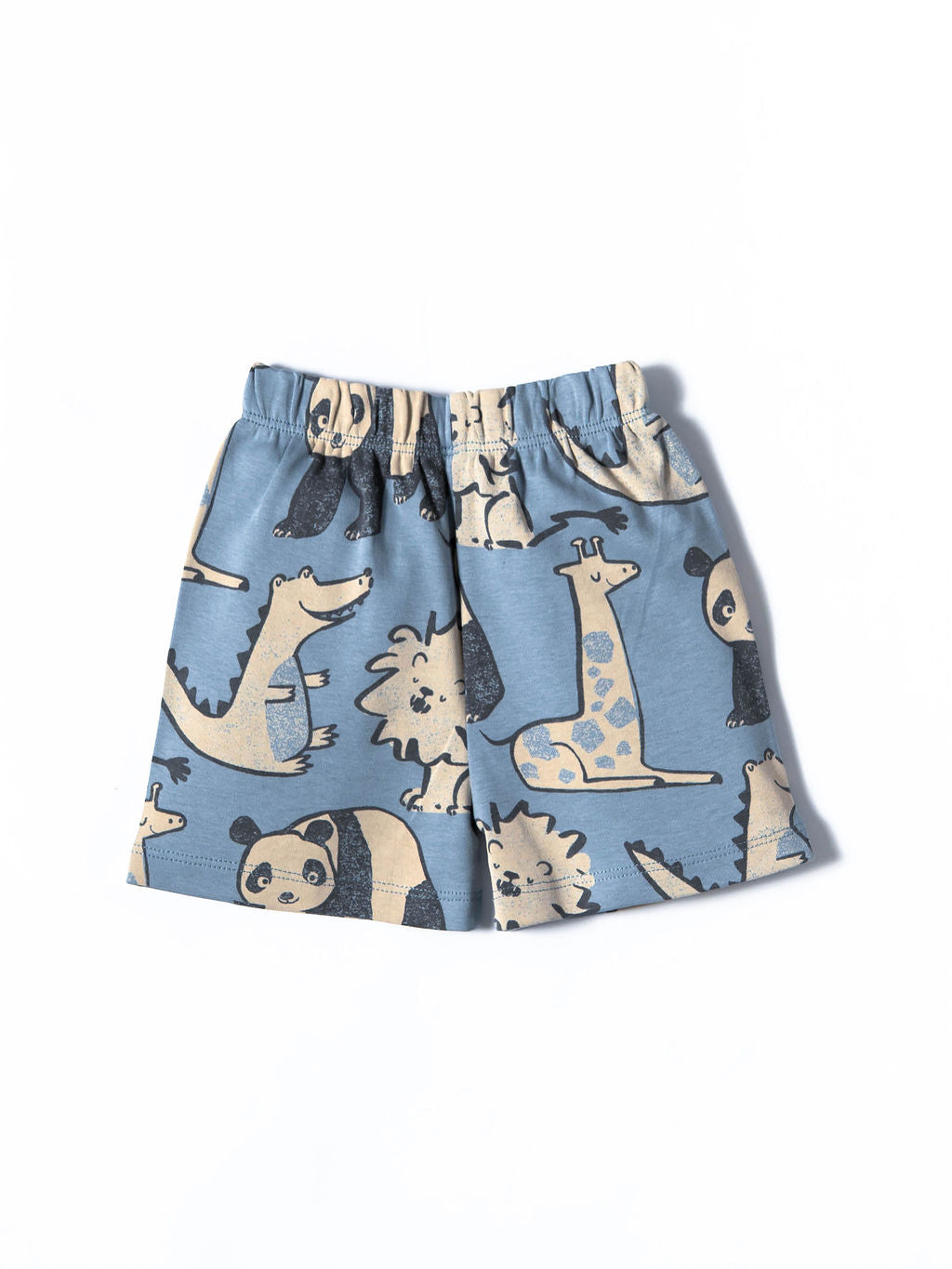 Blue Animal Print Co-ord Set (444)
