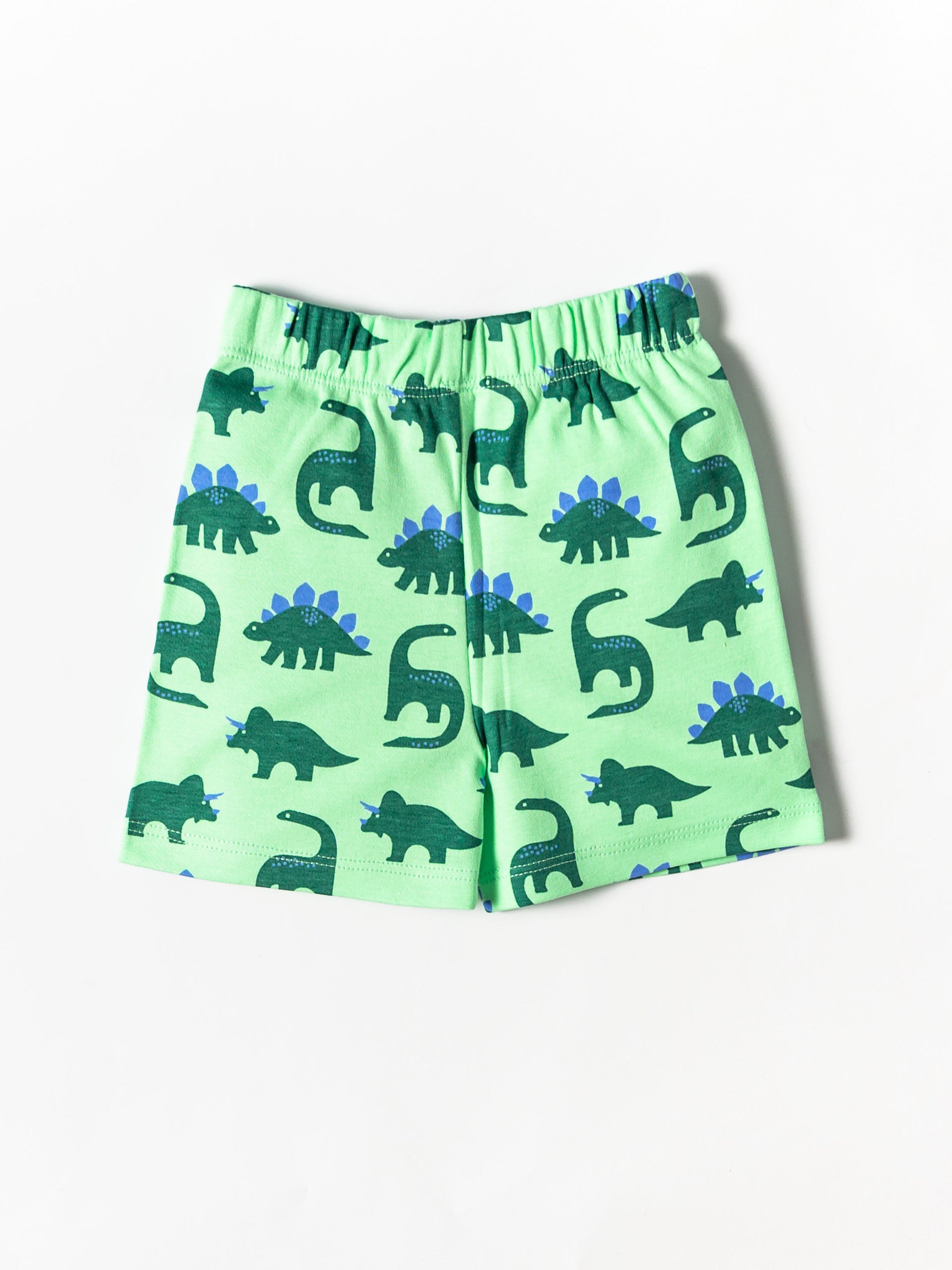 Dino Adventure Co-ord Set (529)