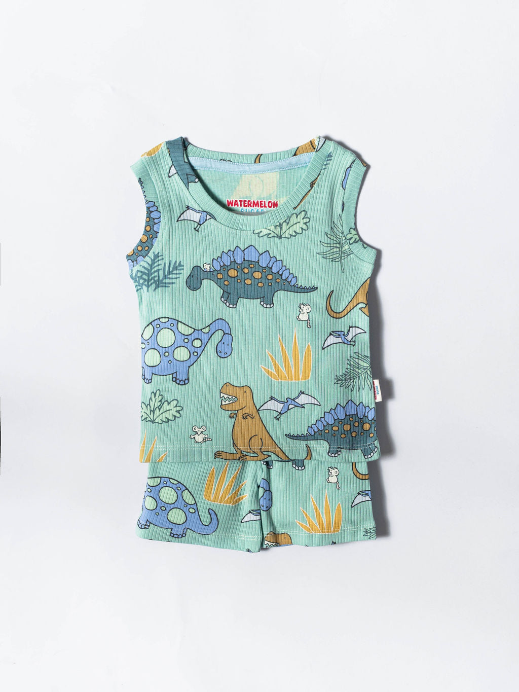 Dino Adventure Co-ord Set (401)
