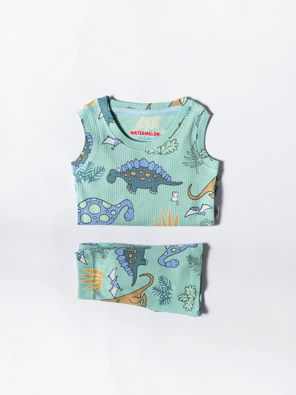 Dino Adventure Co-ord Set (401)