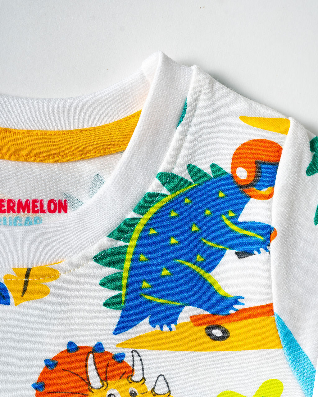 Rainbow Dino Skate Co-ord Set