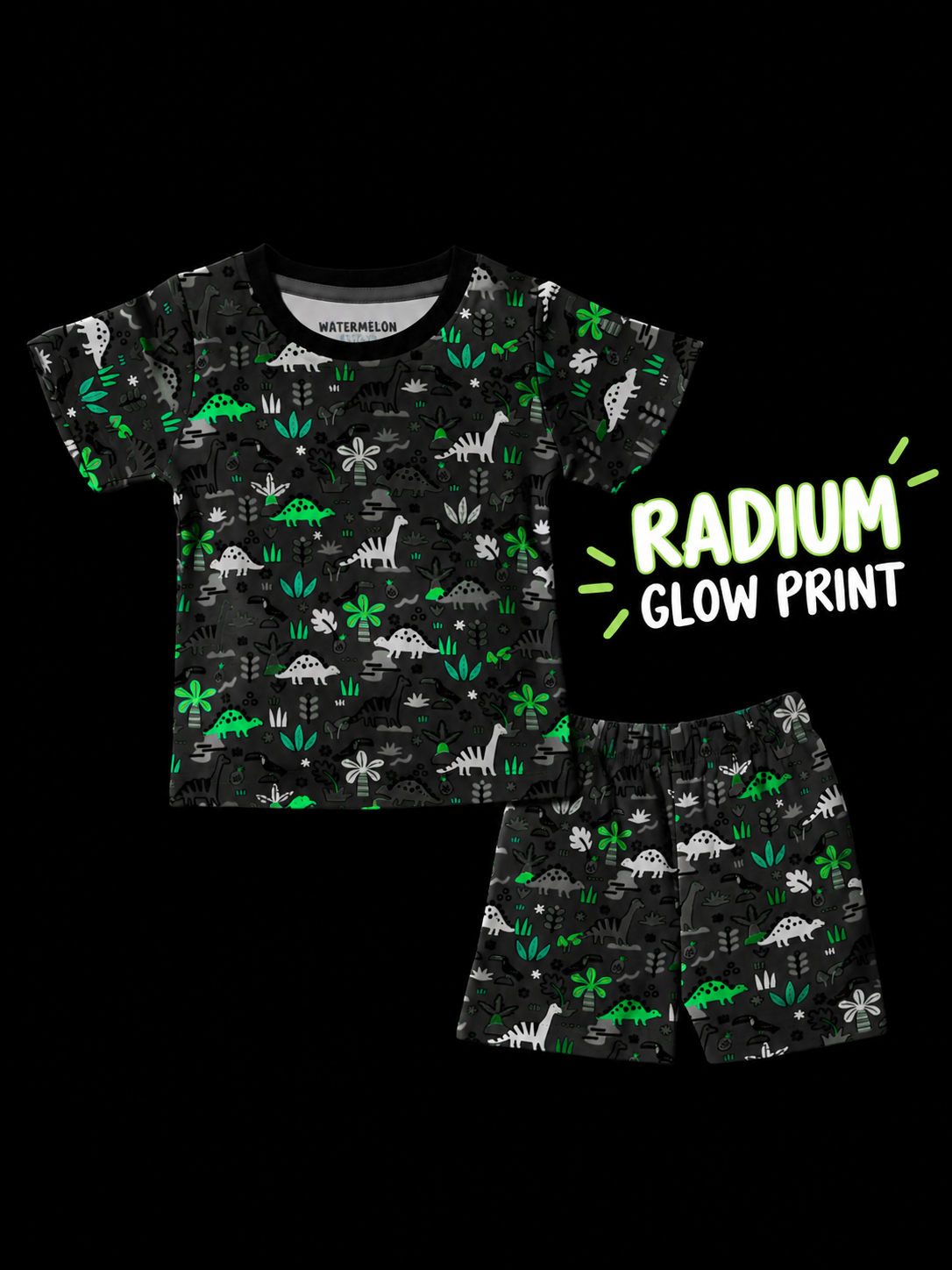 Dino Explorer Print Co-ord Set(662)