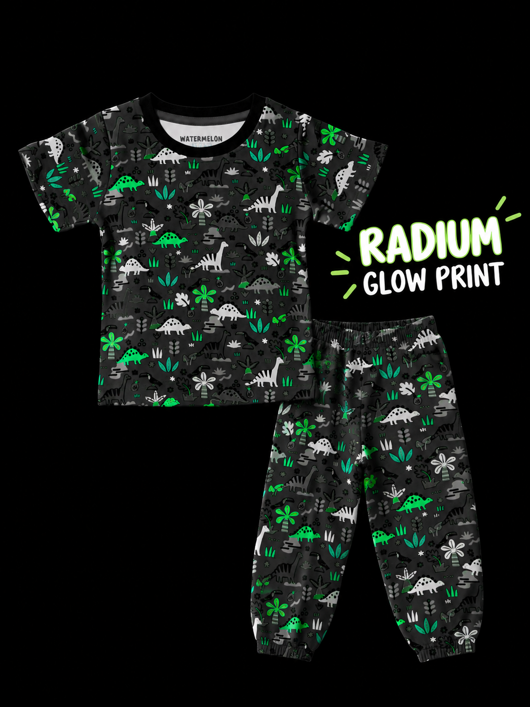 Blue Dino garden Tshirt & Pant set(599)