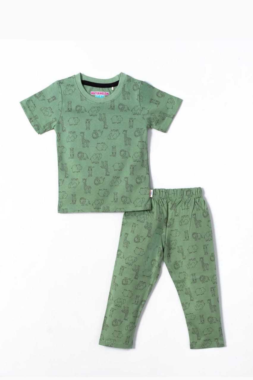 Safari Friends Printed T-Shirt & Pant set (593)